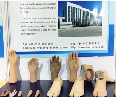 Shijiazhuang Wonderfu Rehabilitation Device Technology Co., Ltd.