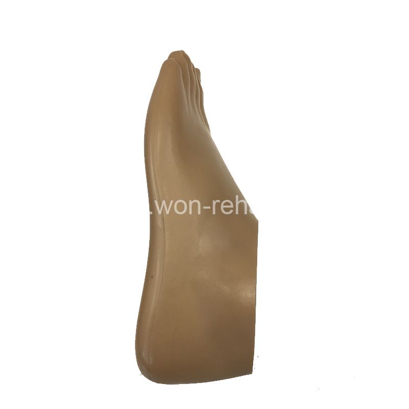 Prosthetic sach foot