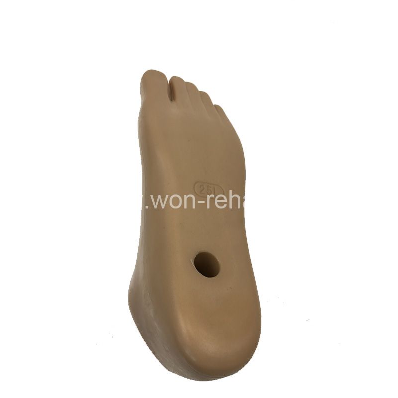 Prosthetic sach foot